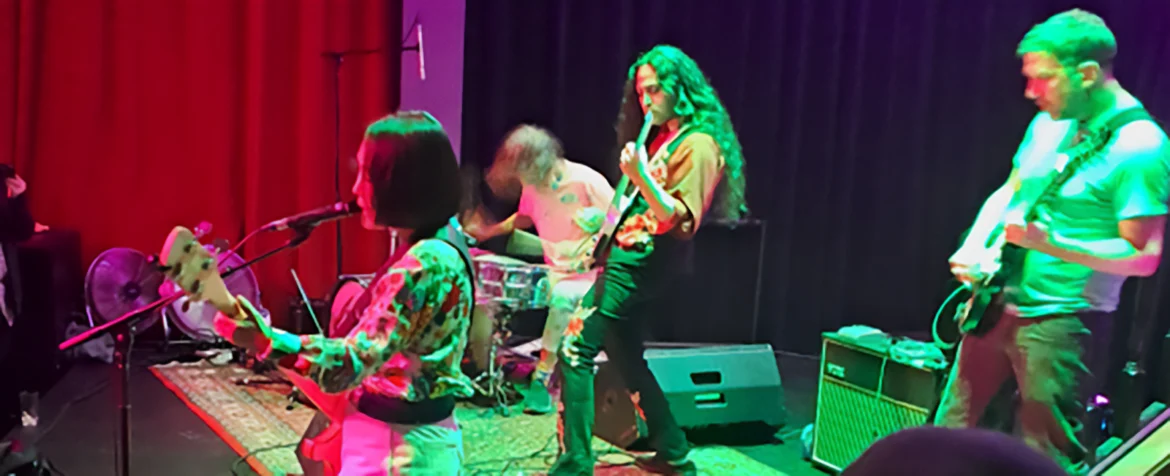 Deerhoof – Noble and Godlike In Ruin